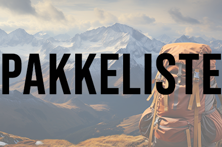 pakkeliste_billede